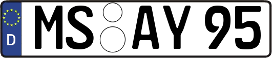 MS-AY95