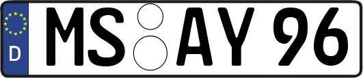 MS-AY96