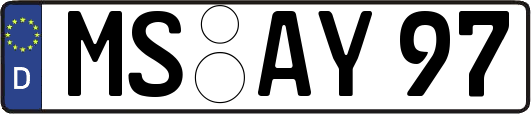 MS-AY97