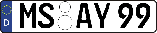 MS-AY99