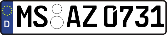 MS-AZ0731