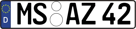MS-AZ42