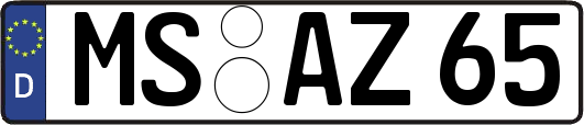 MS-AZ65