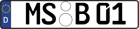 MS-B01