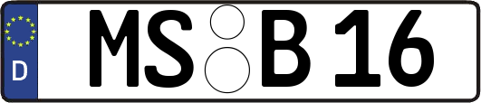 MS-B16