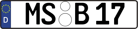 MS-B17