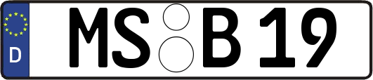MS-B19