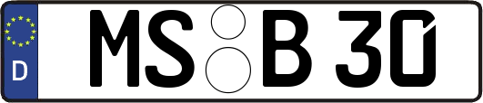 MS-B30