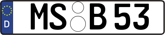 MS-B53