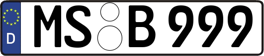 MS-B999