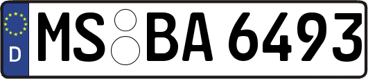 MS-BA6493