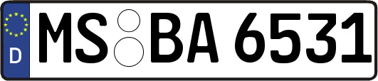 MS-BA6531