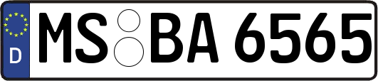 MS-BA6565