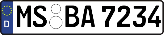 MS-BA7234