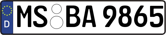 MS-BA9865