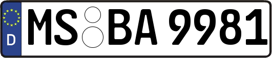 MS-BA9981