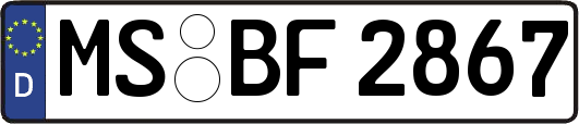 MS-BF2867
