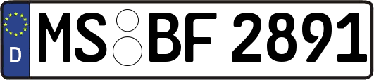 MS-BF2891