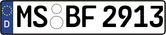 MS-BF2913