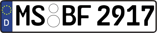 MS-BF2917