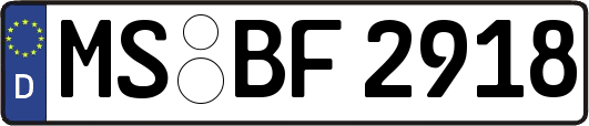 MS-BF2918