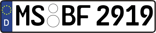 MS-BF2919