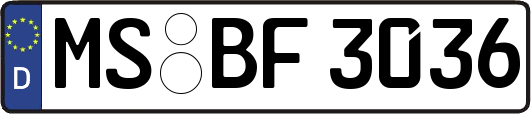 MS-BF3036