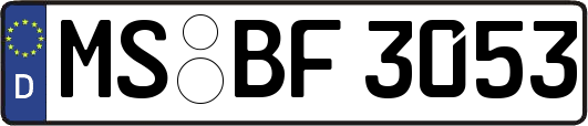 MS-BF3053