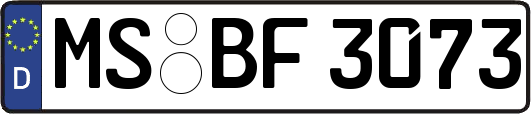 MS-BF3073