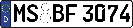 MS-BF3074