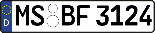MS-BF3124