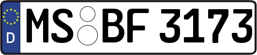 MS-BF3173