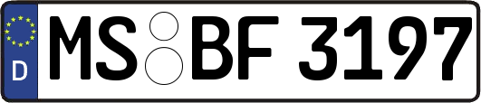 MS-BF3197