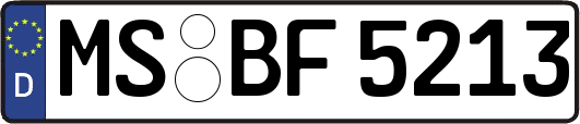 MS-BF5213