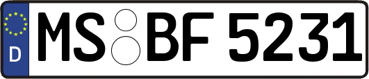 MS-BF5231