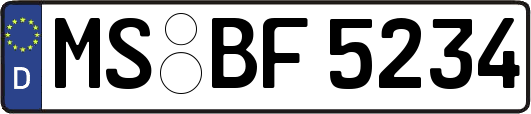 MS-BF5234