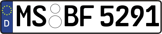 MS-BF5291