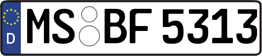 MS-BF5313
