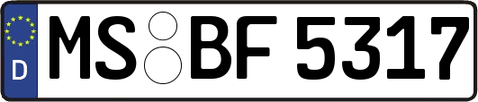 MS-BF5317