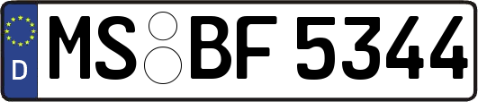 MS-BF5344