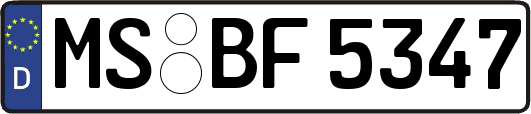 MS-BF5347