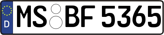 MS-BF5365