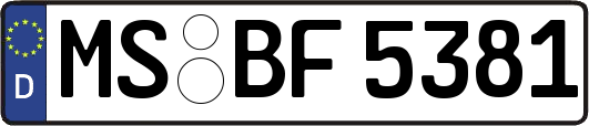 MS-BF5381