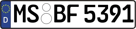 MS-BF5391