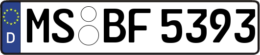 MS-BF5393