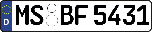 MS-BF5431