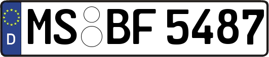 MS-BF5487