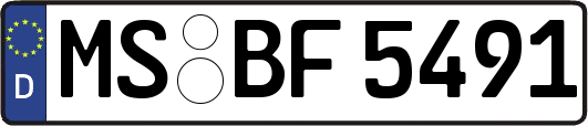 MS-BF5491