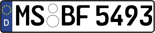 MS-BF5493
