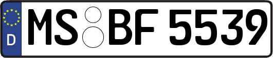 MS-BF5539